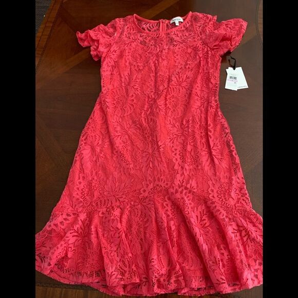 Kensie ruffled short sleeve lace dress size 6 - Picture 4 of 10